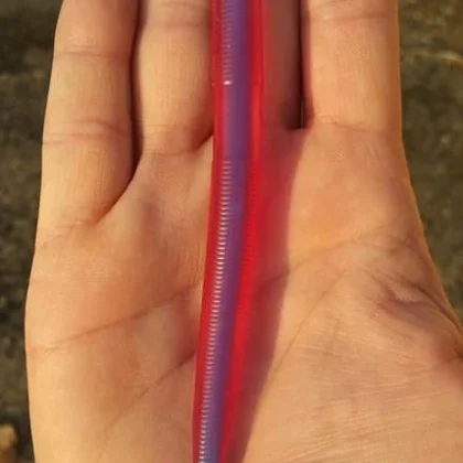 Shack Stick Bait 5"