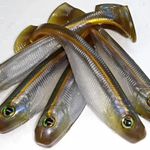 Shack Swimmer 6"