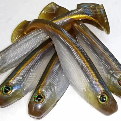 Shack Swimmer 6"